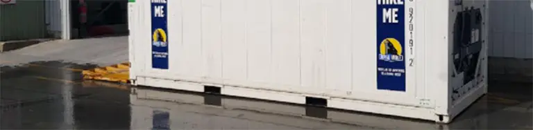 Container