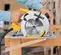 Yellow, gray and black DEWALT Circular Saw, 7-1/4 in., Electric Powered