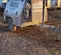 2019 Therm Dynamics TD425 Diesel Heater