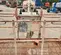 2017 Skyjack SJ66T Boom Lift