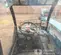 2019 Genie GTH-5519 Forklift