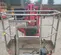 2018 TEUPEN TL44AJ Atrium Lift