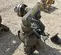 2016 Texas Process Equipment PD30S-ASS-STT-C Pump