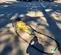 2017 Atlas Copco SB 452 Attachment