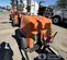 2021 Generac MLT6SMDS Portable Light Tower