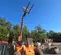 2019 SKYTRAK 6036 Forklift