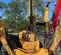 2018 JCB 512-56 S Forklift