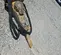 2018 Atlas Copco SB 452 Attachment