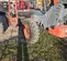 2017 Skyjack SJ643TH Forklift