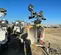 2021 Allmand ML20LEDARCLSC Portable Light Tower